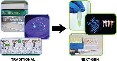 The Genetic Code Kit: An Open-Source Cell-Free Platform for Biochemical and Biotechnology Education